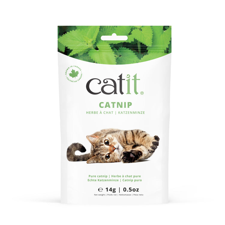 Catit Dried Catnip 14 g pet product in Qatar