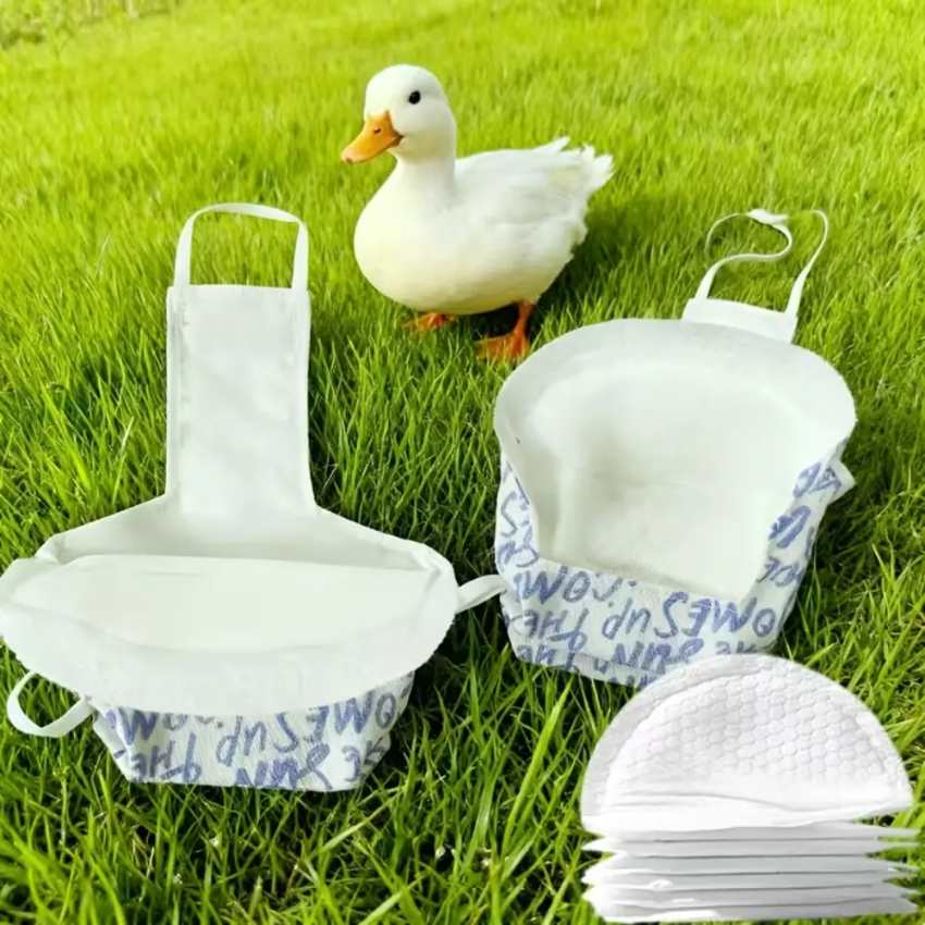 Disposable Bird Diaper Pads (10 pcs) Large Sticky Replacement Pee Pads