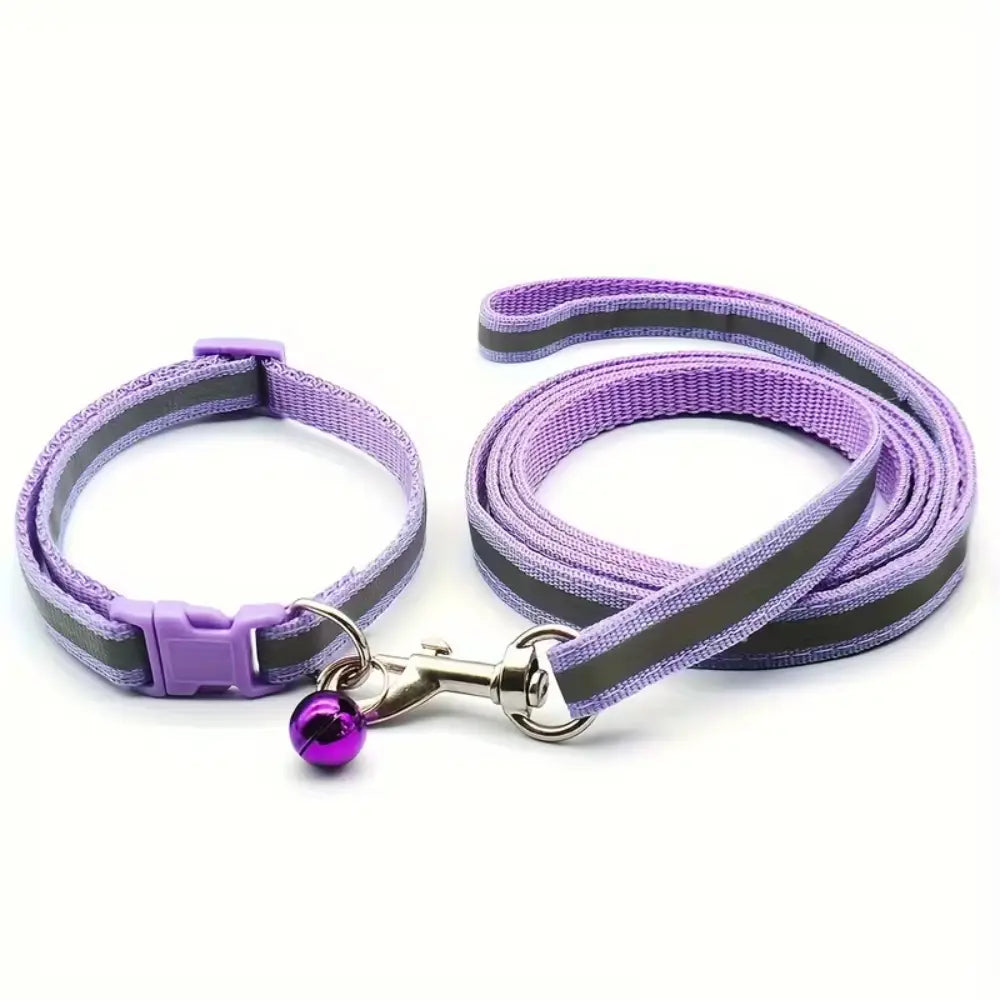 Reflective Collar & Leash Set – Purple pet product in Qatar