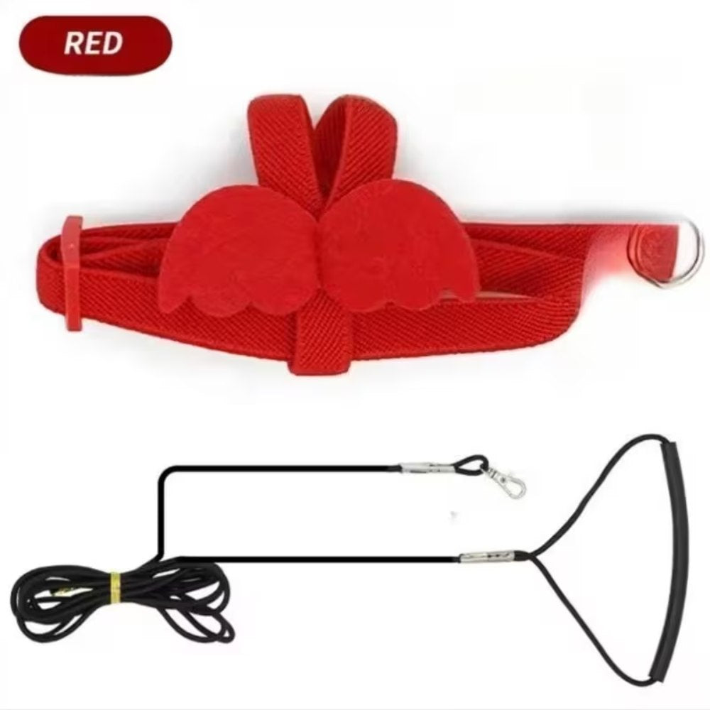 Parrot Training Harness & Leash – Red, small pet product in Qatar
