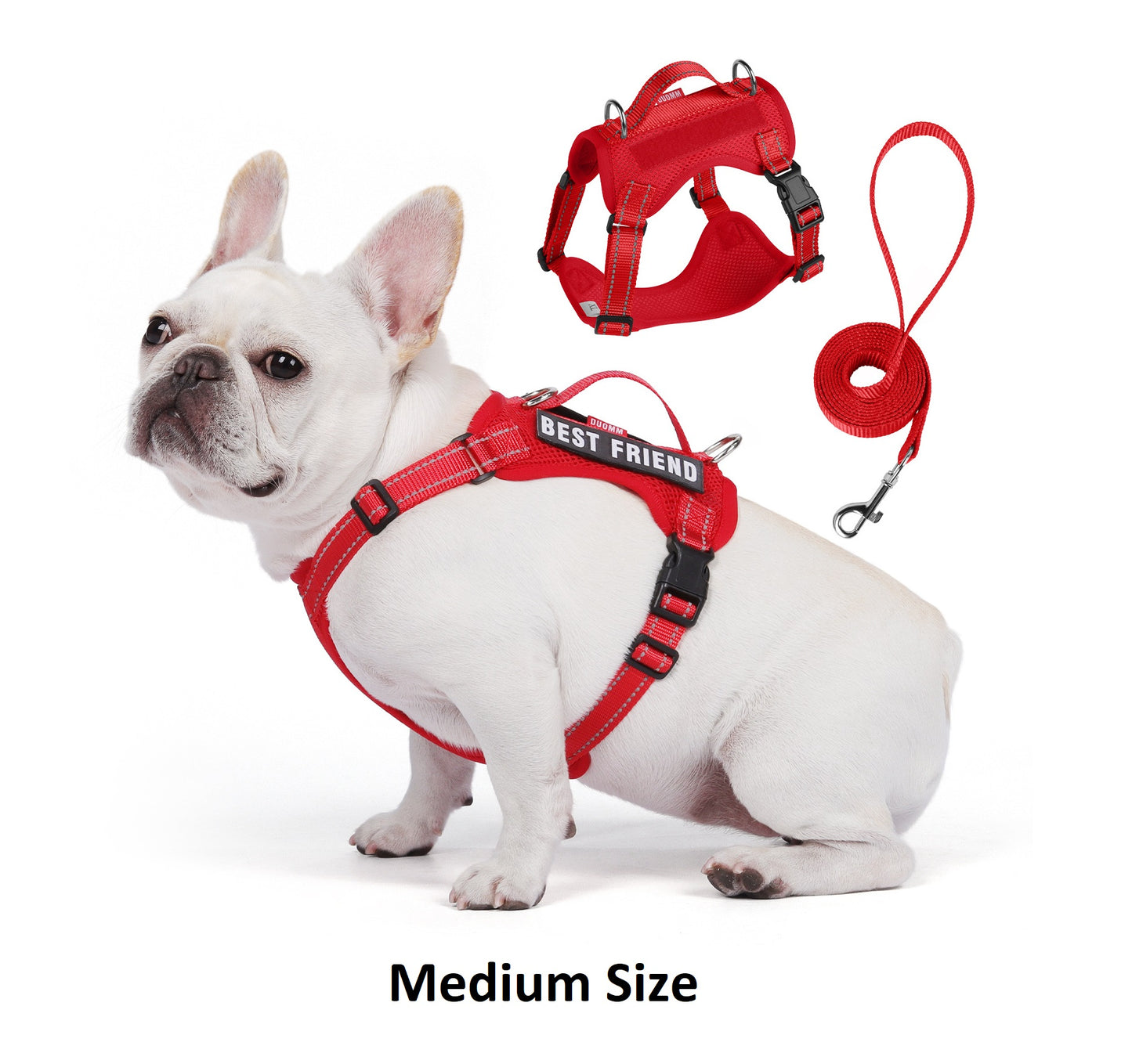 Harness and Leash Adjustable for Cat, Puppy & Small Dog - Red Medium