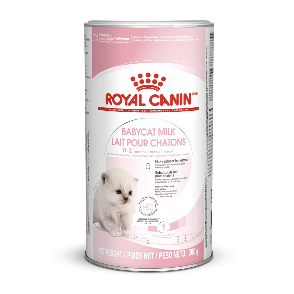Royal Canin Babycat Milk Cat Milk 300 g pet product in Qatar