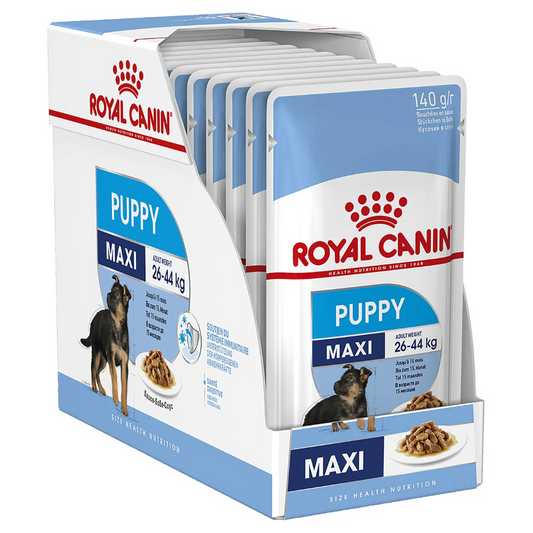 Royal Canin Maxi Puppy Wet Pouches 140g x 10 – Large Breed Puppy Nutrition in Qatar