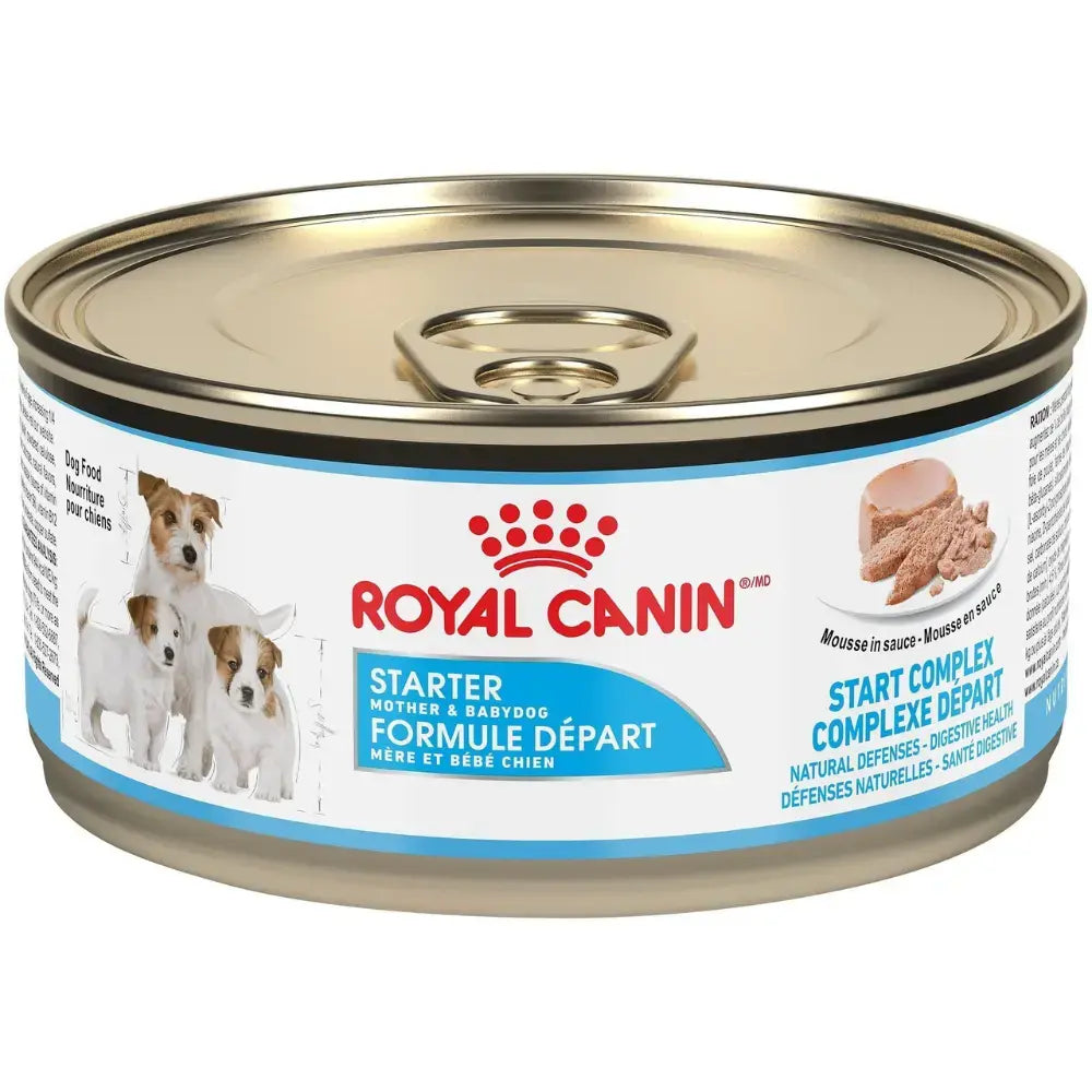 Royal Canin Canine Starter Mousse Cat Wet Food 195g pet product in Qatar