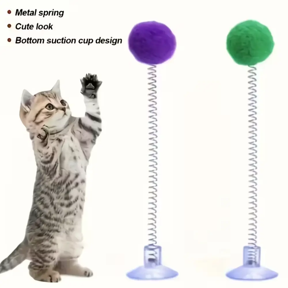 Interactive Cat Toy Set