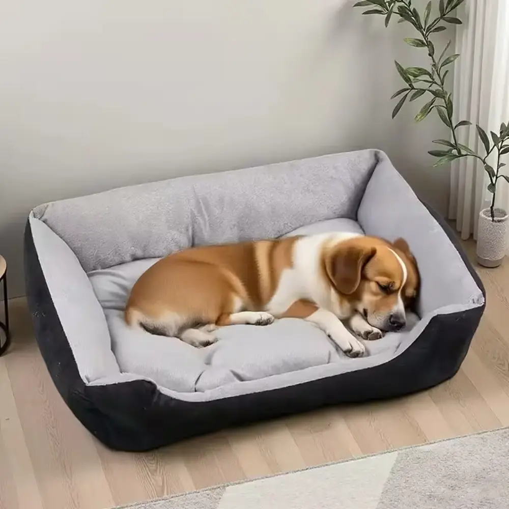Luxury Pet Pillow Bed Deep Grey XL 80×60cm by General — Pet Bedding — Pet Glow Qatar