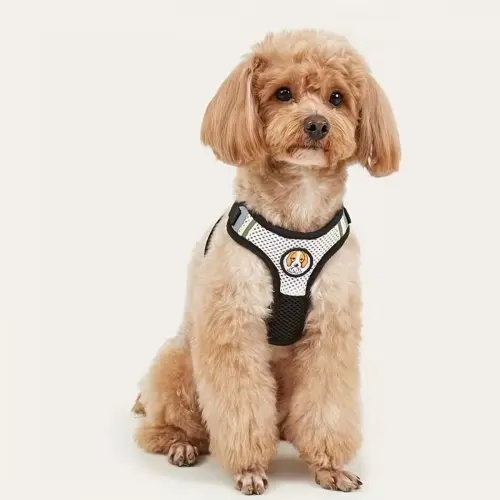 Breathable Reflective Dog Harness BL L