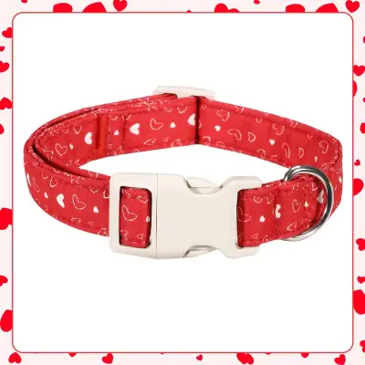 Heart Pattern Pet Collar Red L Size by General — Pet Accessories — Pet Glow Qatar