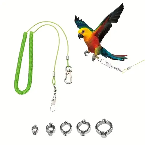 Retractable Flight Leash Kit M GR by General — Pet Accessories — Pet Glow Qatar