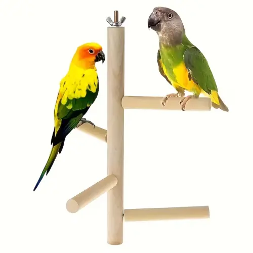 Wooden Parrot Swing St Perch S