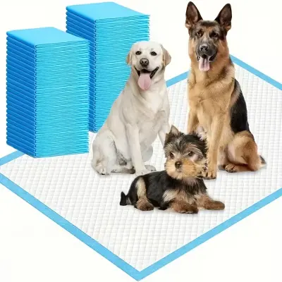 Pet Training Pads S Dogs & Cats 60x40cm 4pcs Pack by General — Dog Hygiene — Pet Glow Qatar
