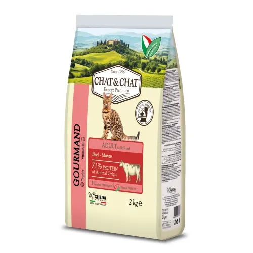 Chat chat Adult Beef Dry Cat Food 2kg
