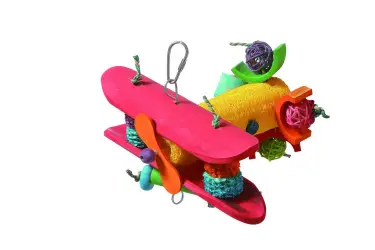 Coolla Pet Bamboo Airplane Toy