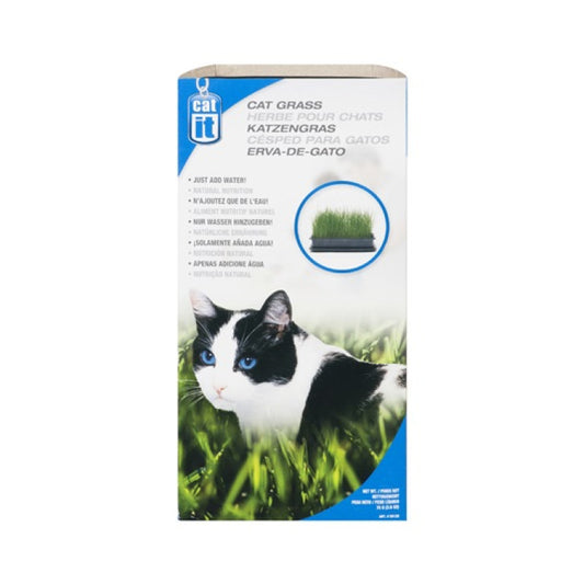 Catit Cat Grass 75 g pet product in Qatar
