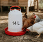 Chicken Drinker 14L pet product in Qatar