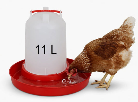 Chicken Drinker 11L pet product in Qatar