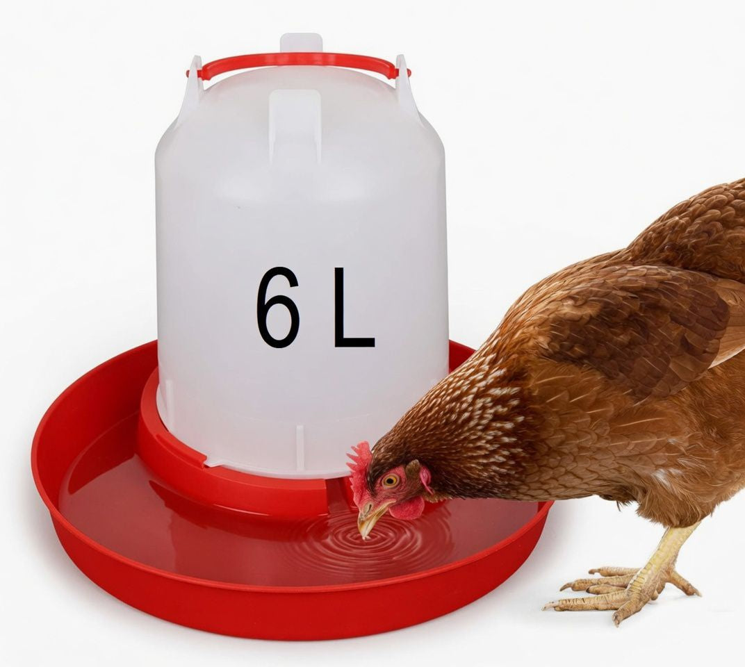 Chicken Drinker 6L pet product in Qatar