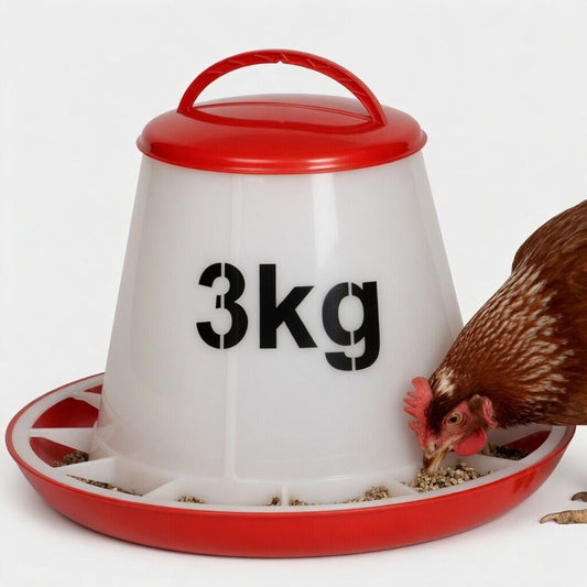 Chicken Feeder 3 Kg pet product in Qatar