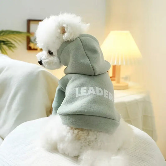 Pet Print Sweatshirt – Green | XL (44×32×40cm) pet product in Qatar