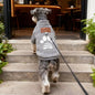 Paw Print Dog Sweater – Grey Medium (47×36×40cm) pet product in Qatar