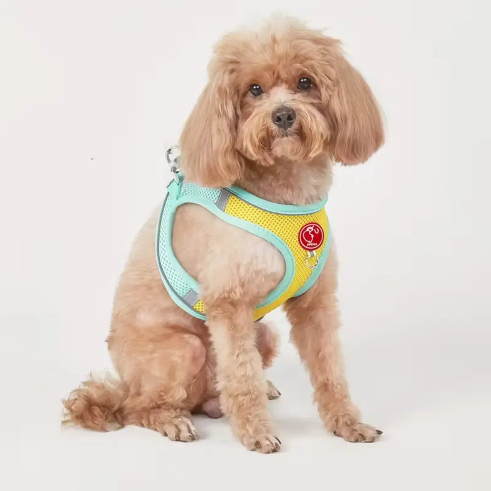 Breathable Dog Harness – Green | XL pet product in Qatar