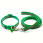 Reflective Collar & Leash Set – Green pet product in Qatar