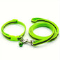 Reflective Collar & Leash Set – Fluorescent Green pet product in Qatar