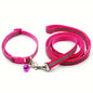 Reflective Collar & Leash Set – Rose Red pet product in Qatar