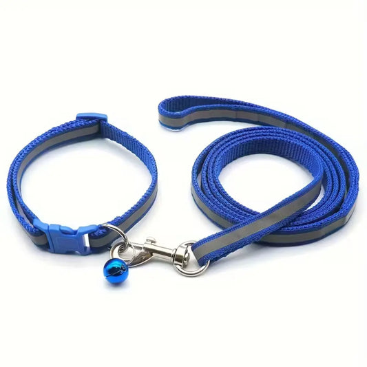 Reflective Collar & Leash Set – Blue pet product in Qatar
