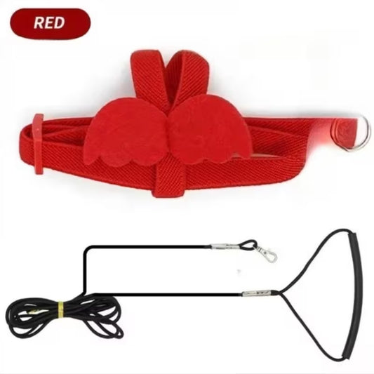 Parrot Training Harness & Leash – Red, small pet product in Qatar