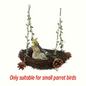 Vine Bird Perch Cradle – Random Color