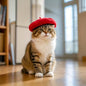 Pet Cat Beret Hat Solid Color – Small pet product in Qatar