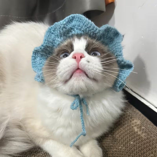 Knit Pufferfish Pet Costume Hat – Small Blue pet product in Qatar