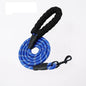 Dog Leash Non adjustable - Blue - 3 Meter