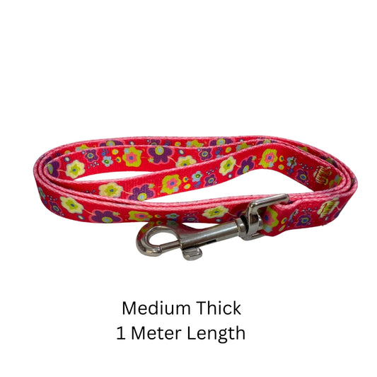 Leash for Dog & Cat, Medium Hook, 1 Meter pet product in Qatar