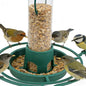 Hanging Bottle Bird Feeder