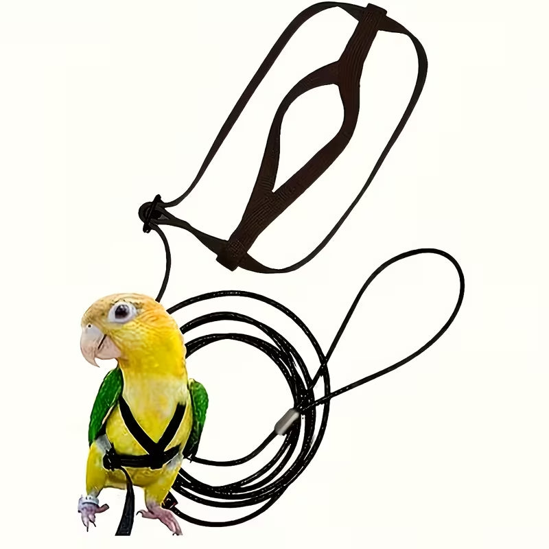 Bird Harness & Leash – Black Medium Size