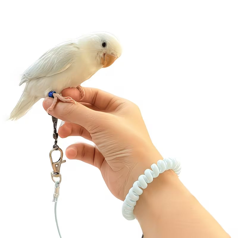 Lightweight Bird Training Leash – Green – For Small Birds