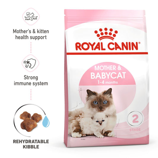 Royal Canin Mother And Baby cat dry food 400g pet product in Qatar