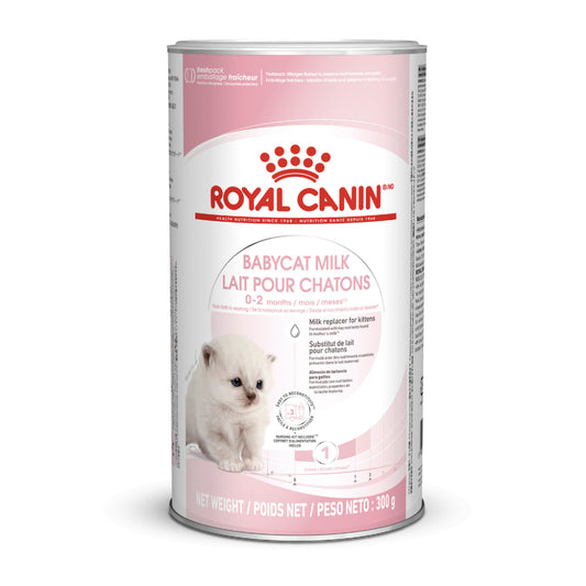 Royal Canin Babycat Milk Cat Milk  300 g pet product in Qatar