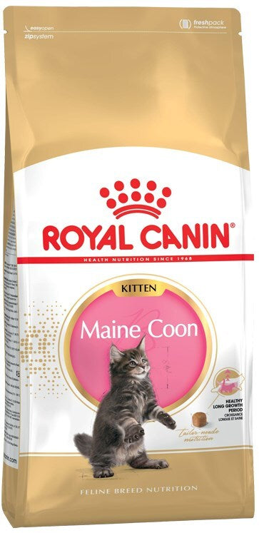 Royal Canin Maine Coon Kitten 2 kg pet product in Qatar
