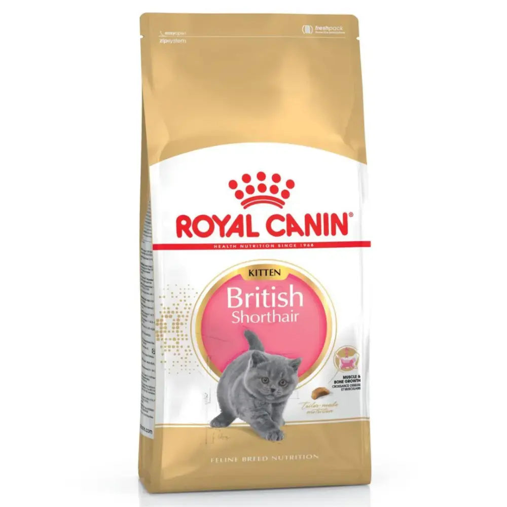 Royal Canin British Shorthair Kitten Cat Dry Food 2 Kg pet product in Qatar