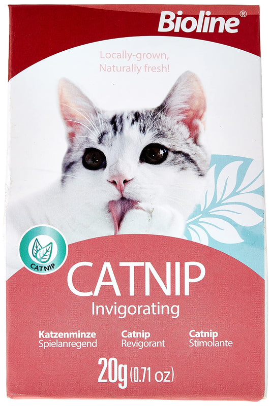 Bioline Catnip 20G pet product in Qatar