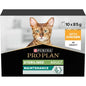 Purina Pro Plan Sterilised Chicken Gravy Multi Pack Cat Wet Food 85g x 10 pet product in Qatar