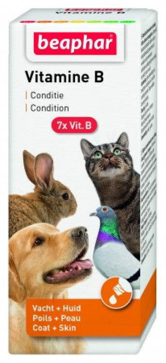 Beaphar Vitamin B Complex 50 ml pet product in Qatar