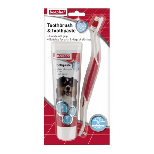 Beaphar Dental Kit for Dog & Cat 100g