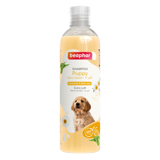 Beaphar Puppy Shampoo Chamomile & Aloe Vera 250 ml pet product in Qatar