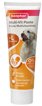 Beaphar Duo Active Paste Multivitamin Dog 100 g