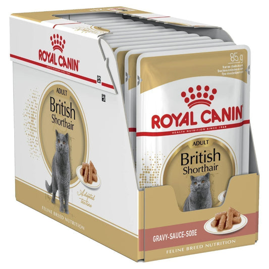 Royal Canin British Shorthair Cat Wet Pouches 85G x 12 pet product in Qatar