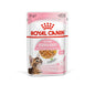 Royal Canin Kitten Sterilised Jelly Wet Food Pouches 12x85g pet product in Qatar